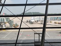 -合肥新桥国际机场-航站楼