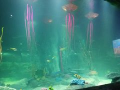 -沈阳海洋探索中心