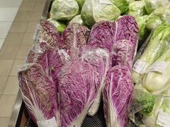 -T11生鲜超市(朝阳公园店)