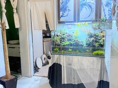 -木子陶艺(春熙路店)