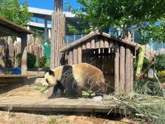 -大连森林动物园