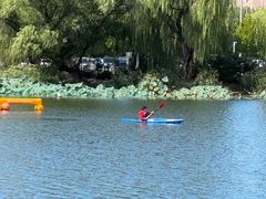 -WhaleSports户外水上运动俱乐部(朝阳公园店)
