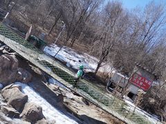 -帽儿山风景区