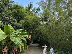 -开平碉楼文化旅游区马降龙景区