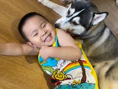 -Husky Go! 哈士奇体验馆·宠物咖啡厅狗咖