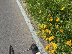-阳澄湖半岛旅游度假区