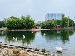 -同济大学(嘉定校区)