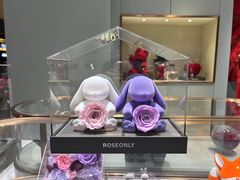 -ROSEONLY诺誓(磐基中心店)