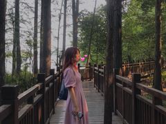 -东湖落雁景区