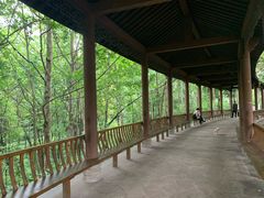 -重庆彩云湖湿地公园
