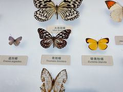 -中国湿地博物馆