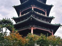 -迎泽公园