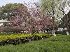 -圩墩遗址公园