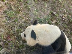 -泉州海丝野生动物世界