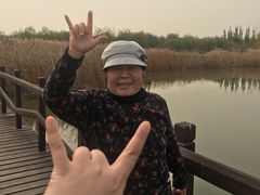 -西青郊野公园