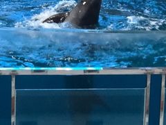 -福州罗源湾海洋世界旅游区