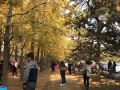 -钓鱼台国宾馆