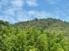 -胡老三家土菜馆·老店地方特色菜·招牌茅山地锅老鹅