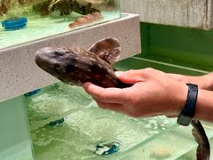 -至尊鲨鱼·原烹海鲜·新浙菜(拱宸桥店)