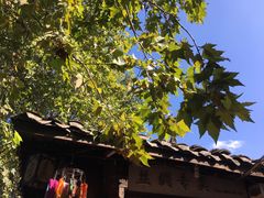 -中天楼