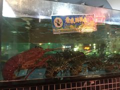 -虎门不夜天海鲜市场