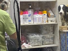 -芭比堂动物医院·心脏专科·夜诊·吉雅分院