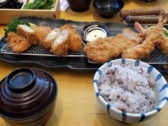 -胜博殿日式炸猪排(西红门店)