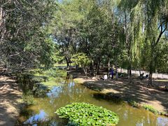 -长白岛森林公园