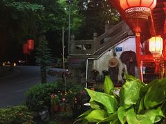-国生茶庄·地道农家菜团建活动