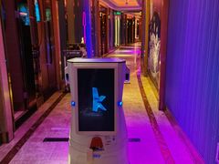 -纯K(打浦桥店)