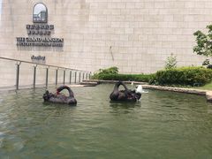 -行者书屋大堂吧 ·下午茶(南京圣和府邸酒店)