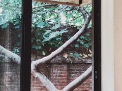 大堂-boundaries籬苑(瑞光创意工厂-贰号院店)