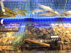 -必点海鲜·鲅鱼水饺(鞍山西道店)