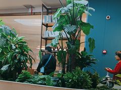 -悦海·家宴·冰花皮皮虾大锅贴(宝龙店)