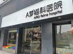 -御宝贝·A梦猫科宠物医院(国际猫友好医院)