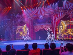 -珠海横琴长隆《卡卡虎奇遇记》