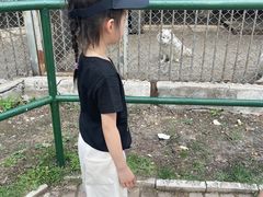 -哈尔滨北方森林动物园