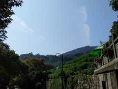 -龙井村