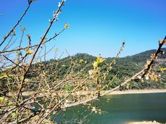 -广州市流溪河国家森林公园