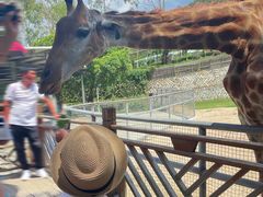 -泉州海丝野生动物世界