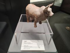 -隋唐大运河文化博物馆