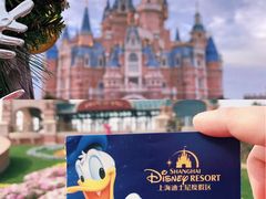 -上海迪士尼度假区