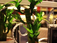 -三俞竹苑(卓展店)