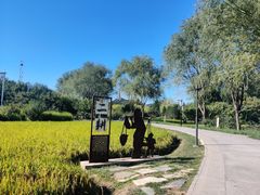 -北坞公园