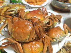 -雀舞云南菜(乐客城店)