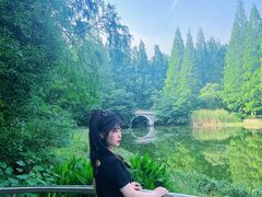 -水杉园