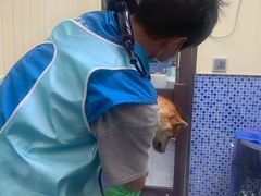 -瑞鹏宠物医院·宠保定点·心脏科·内科(御桥分院)