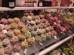 -KKV(深圳宏发大仟里店)