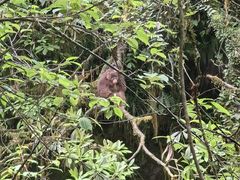 -西岭雪山大飞水景区