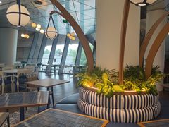 -贝林大翅鲸简餐厅(国家海洋博物馆店)